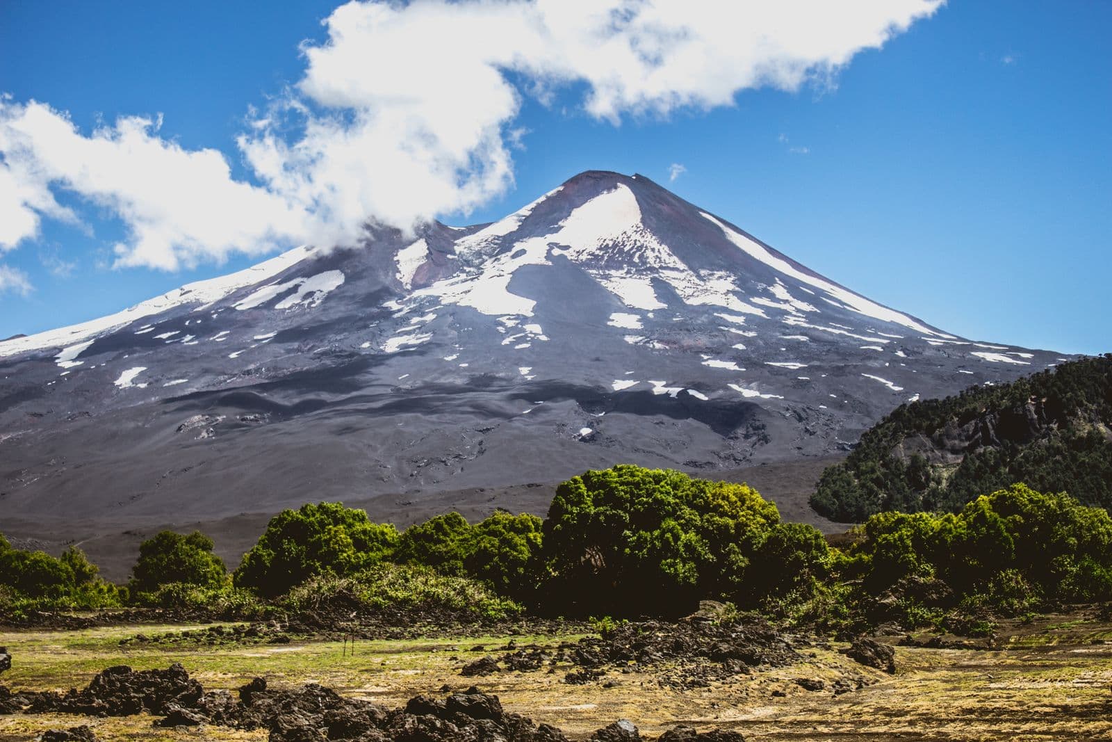 IJFA Chillán